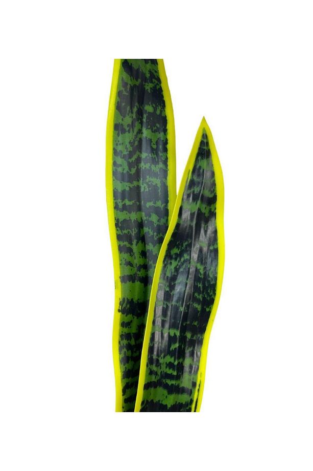 Yapay Çiçek Sansevieria Yeşil Kılıç Çiçeği 4 Adet 65cm Salon Çiçeği Yapay Bitki - 3