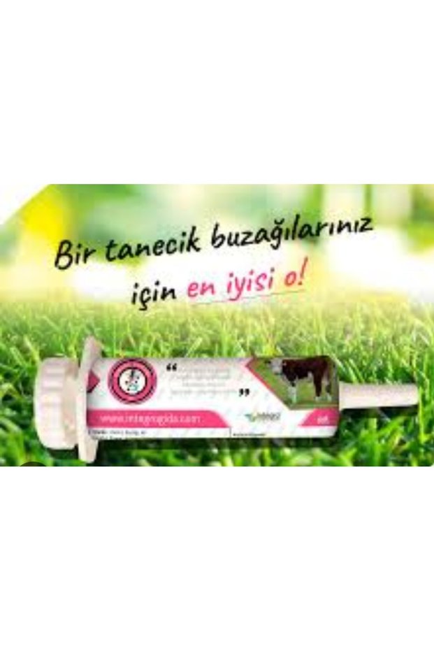 DİRENÇ BUZAĞI JEL 50 GR. 4 ADET
