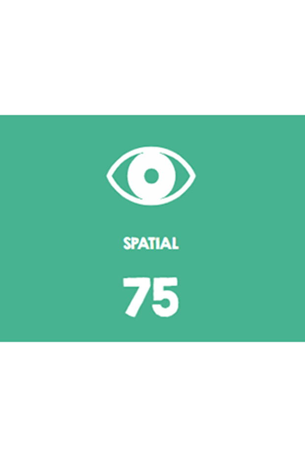 Ludic - Joc De Mima - 6