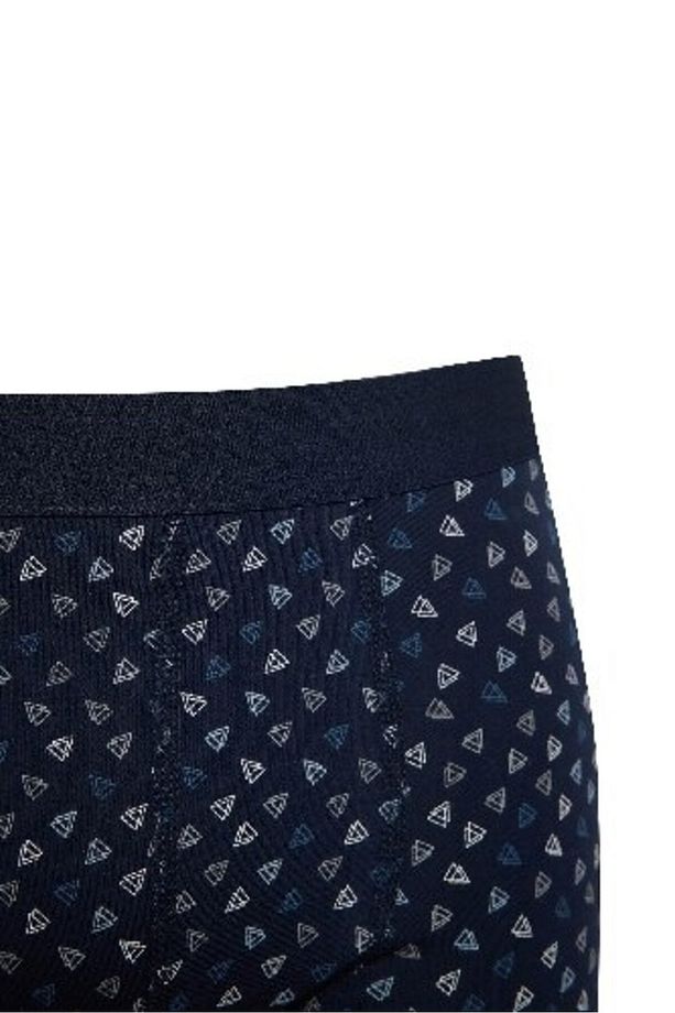 Regular Fit Baskılı 3'lü Boxer E0027ax24wn - 4