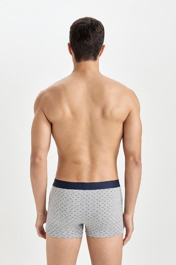 Regular Fit 3'lü Boxer E0121ax24au - 3