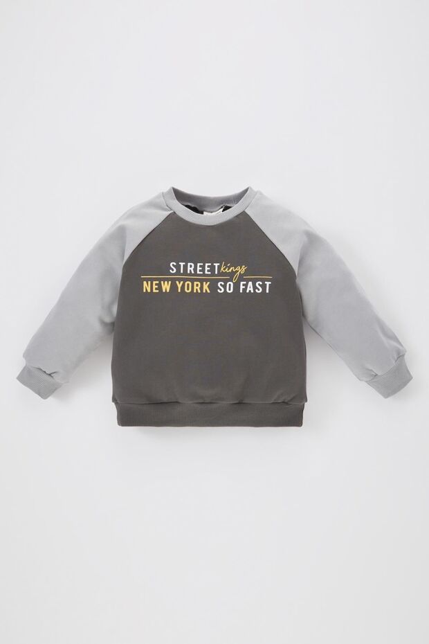 Baby Boy Crew Neck Printed Soft Furry Sweatshirt - B9170a523wn