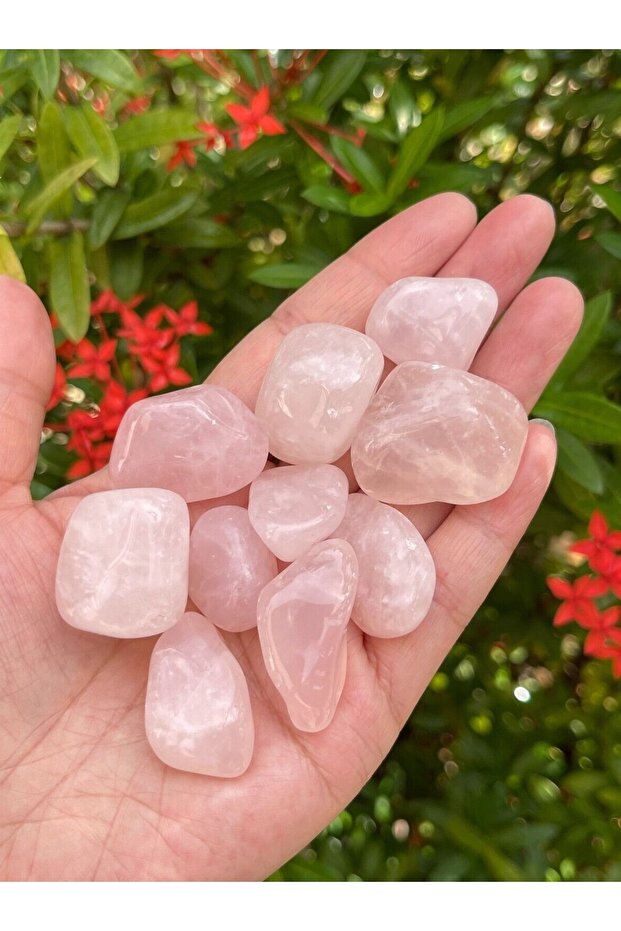 Pink Quartz Natural Stone Tumbler (1 Pc) Cessnova