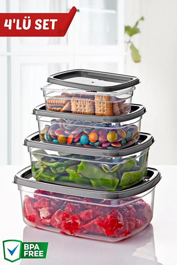 Set of 4 Easybox Multi-Purpose Storage Containers, Usable for Microwave and Freezer - 1