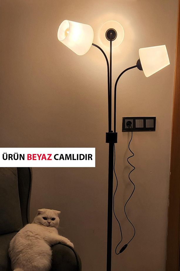 Zambak 3 Lü Siyah Tasarım Metal Ayaklı Lambader Ermando Cam Oturma Odası-Salon Lambader - 2