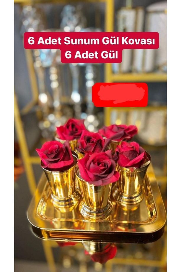 6 ADET SUNUM GÜL VE GÜL KOVASI - 1