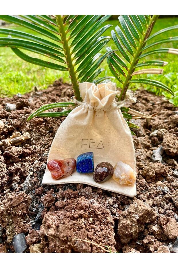 Set of 4 Motivational Natural Stones