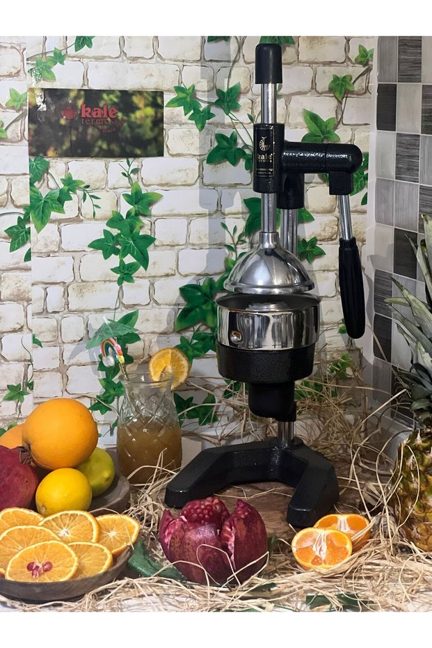 Ecce1803 Industrial Type Citrus Juicer