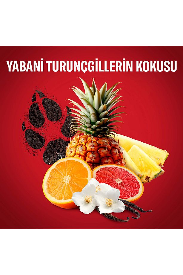Erkekler Için Sprey Vücut Deodorantı 150 ml - 6