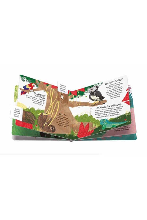 Animals To Save - Tropical Forests - 3
