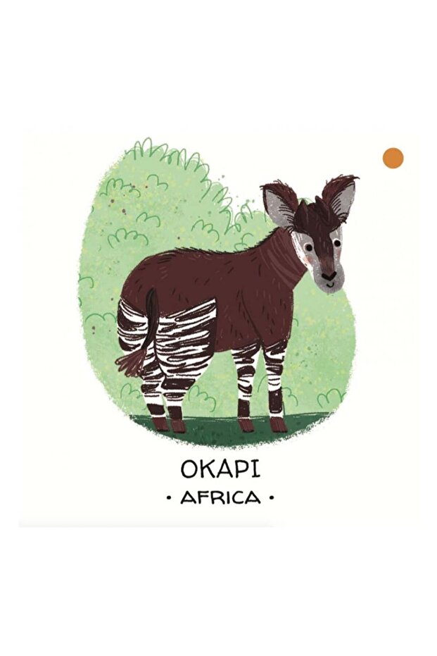 Animals To Save - Tropical Forests - 6