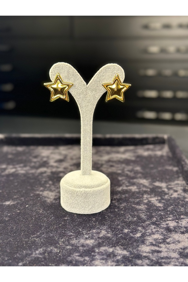 GOLD YILDIZ ÇELİK KÜPE - 4