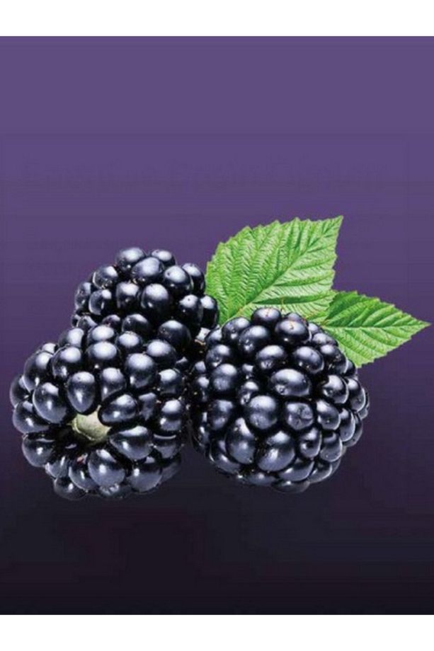 Böğürtlen (Dondurularak Kurutulmuş) Kuru Meyve Cipsi Freeze Dried Çıtır Böğürtlen - 2