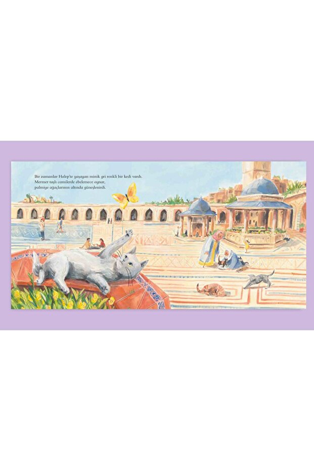 Minik Savaş Kedisi - 3