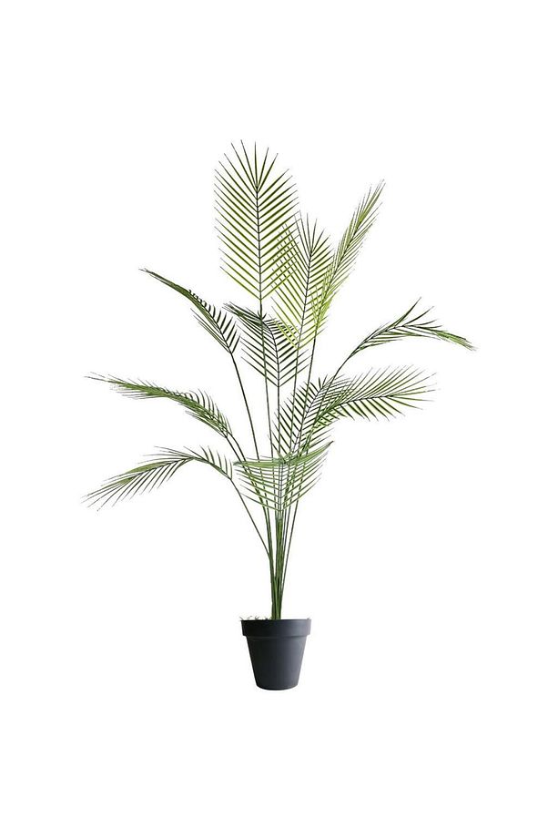 Yapay Ağaç Areka Ağacı Palmiye Ağacı Salon Bitkisi Yapay Areka 130 Cm 12 Yaprak - 3