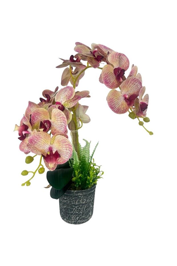 Yapay Çiçek 2li Pembe Damarlı Islak Orkide Seramik Saksıda Orkide 60cm - 1