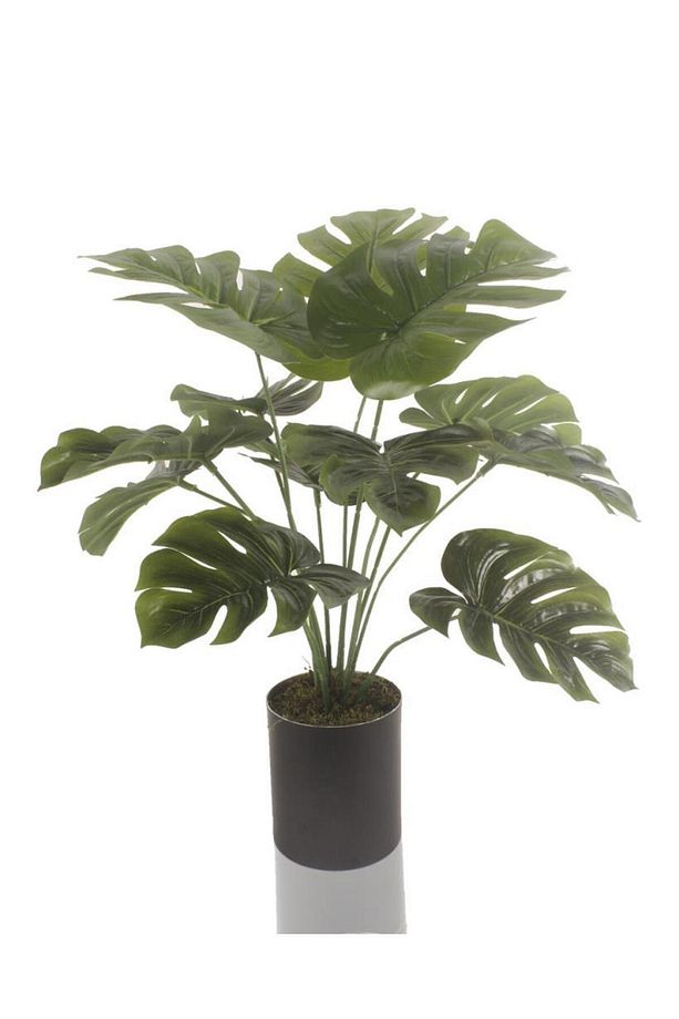 Yapay Çiçek Monstera Deve Tabanı Siyah Saksılı Salon Çiçeği 12 Yaprak - 1