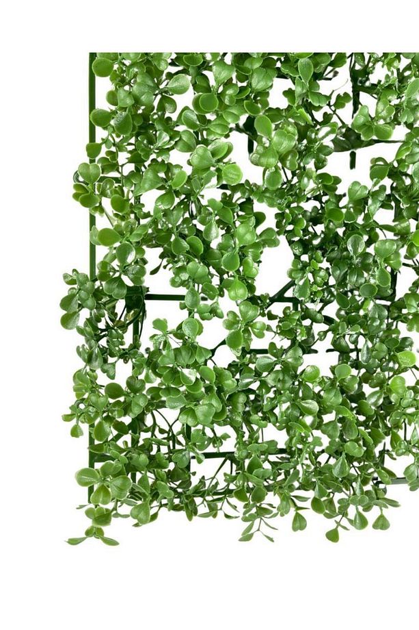 Yapay Çiçek Duvar Kaplama Panel Şimşir Tabaka 50*50cm Dik Duvar Uygulama - 4