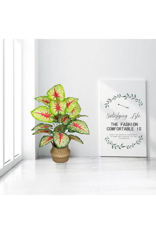 Yapay Çiçek Demet Tropik Kızıl Caladium 18 Dal 70 cm Salon Çiçeği Yapay Bitki - 5