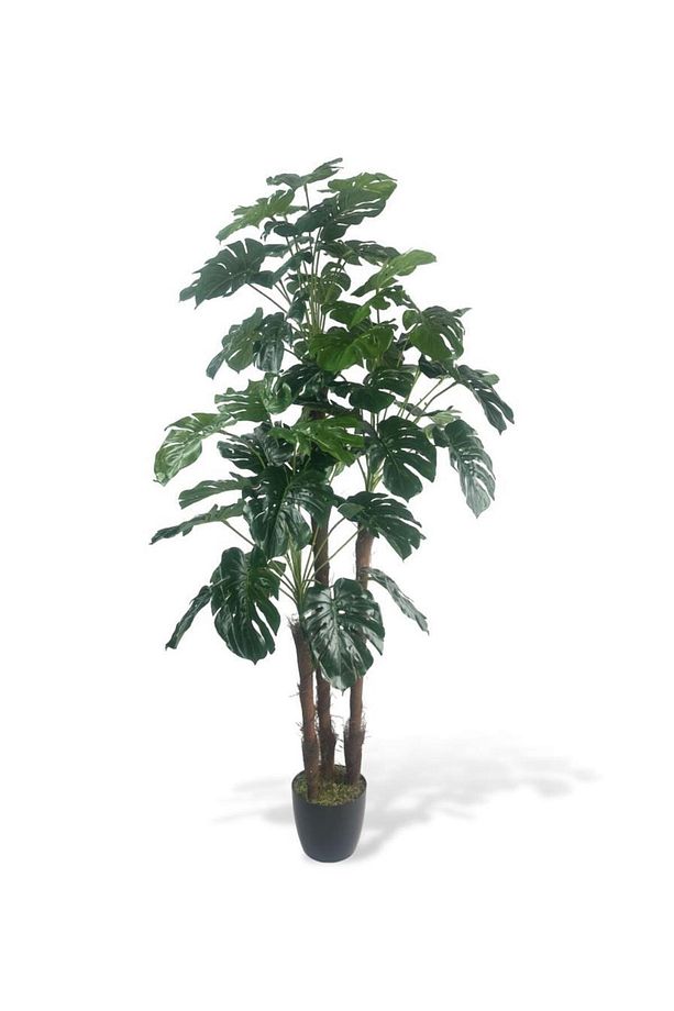 Yapay Çiçek Monstera Yeşil Deve Tabanı 3Katlı 135cm 54Yaprak Siyah Plastik Saksıda Yapay Bitki - 2