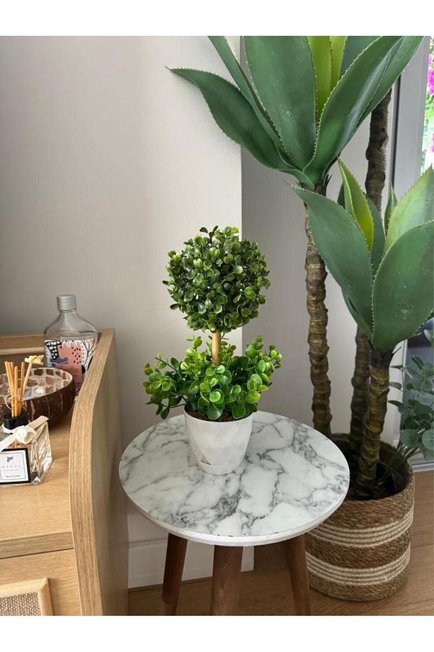 Yapay Ağaç Şimşir Top Tek Toplu Şimşirli 12x31cm Beyaz Saksıda - 5