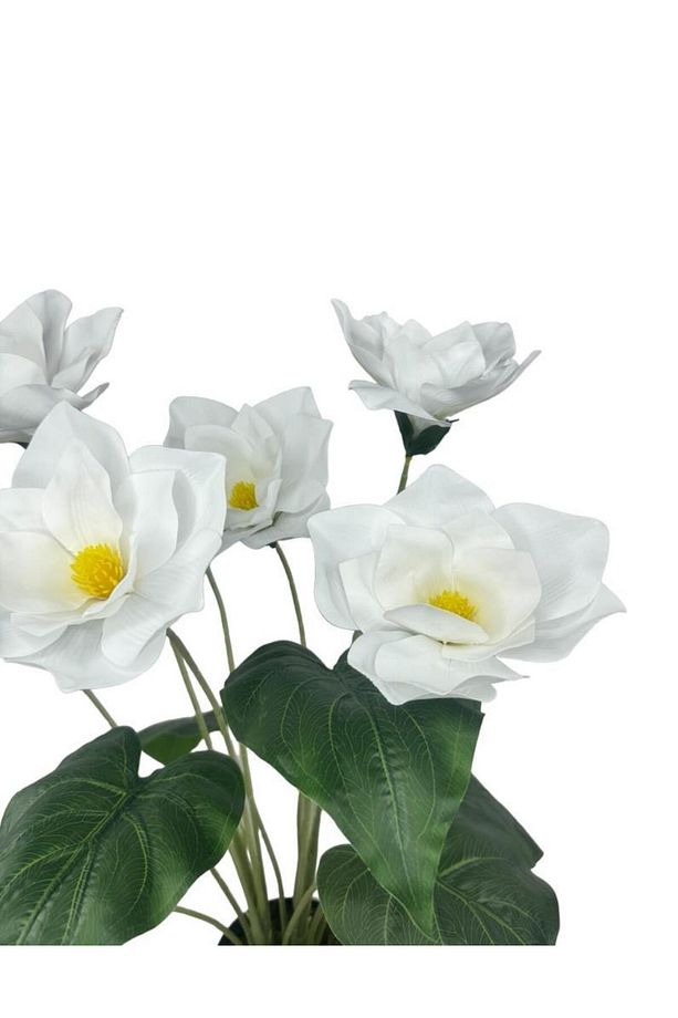 Yapay Çiçek Islak Manolya Çiçeği 6 Çiçekli 65cm Siyah Saksıda Salon Çiçeği - 5