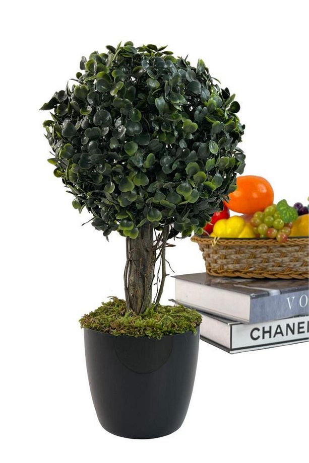 Yapay Ağaç Şimşir Top Tek Toplu 18x35cm Siyah Saksılı - 2