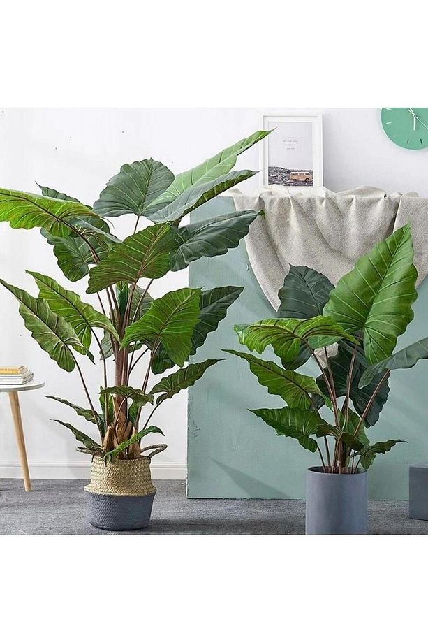 Yapay Ağaç Dev Fil Kulağı Taro Ağacı 170 Cm 11 Yaprak - 4