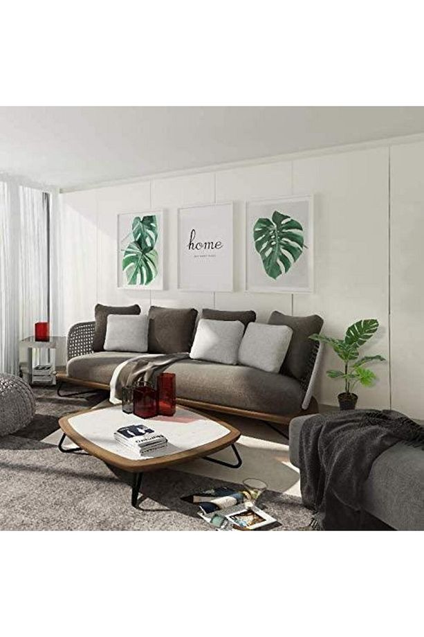 Yapay Çiçek Monstera Deve Tabanı Siyah Saksılı Salon Çiçeği 12 Yaprak - 2
