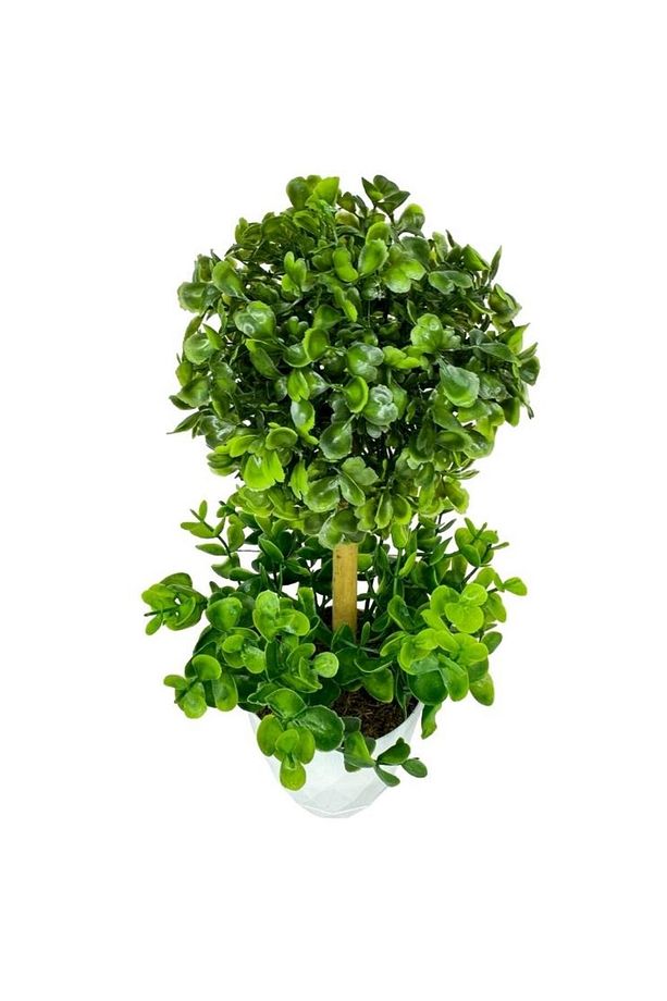 Yapay Ağaç Şimşir Top Tek Toplu Şimşirli 12x31cm Beyaz Saksıda - 3