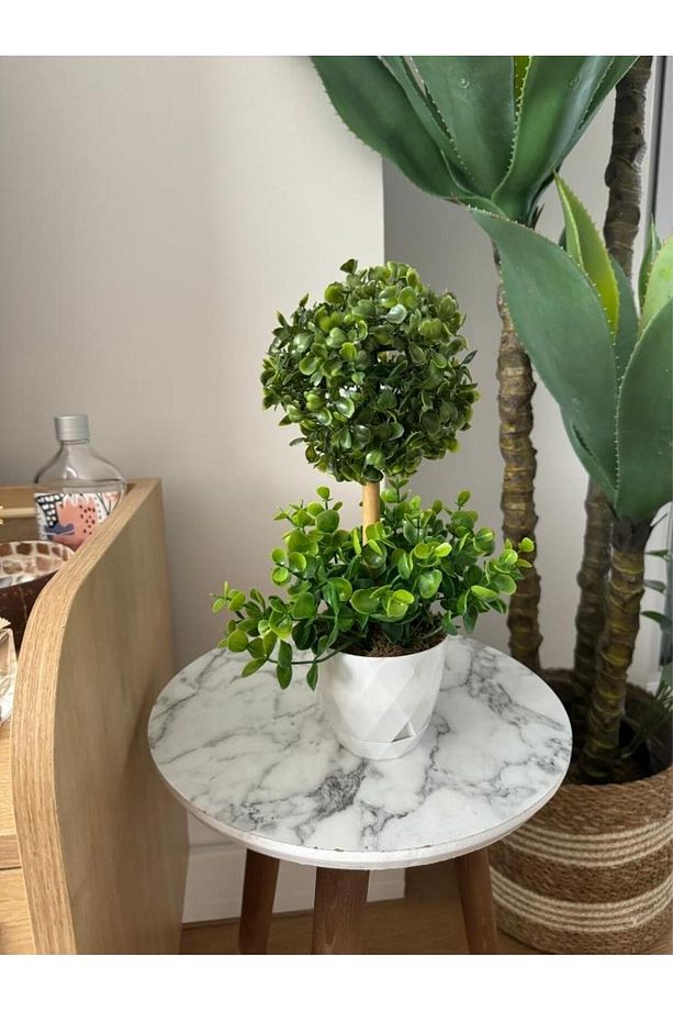 Yapay Ağaç Şimşir Top Tek Toplu Şimşirli 12x31cm Beyaz Saksıda - 6