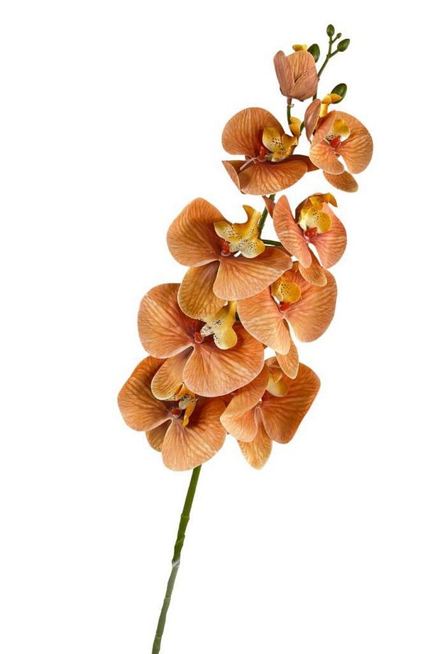Yapay Çiçek Somon Rengi Islak Orkide Uzun Dal 90 Cm Orkide - 2
