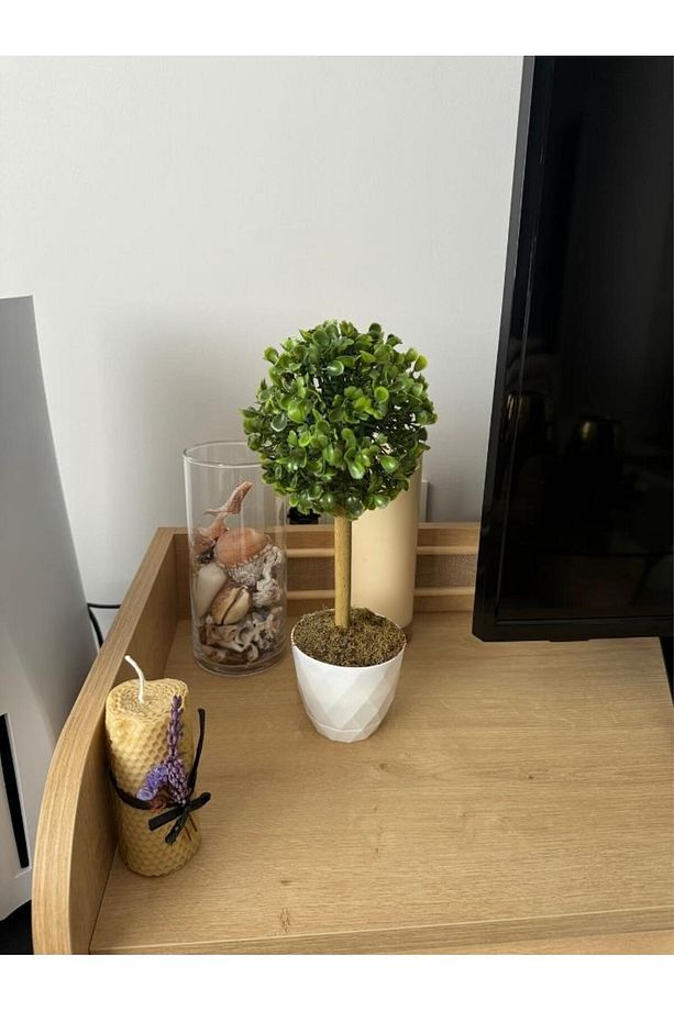Yapay Ağaç Şimşir Top Tek Toplu 12x31cm Beyaz Saksıda - 2