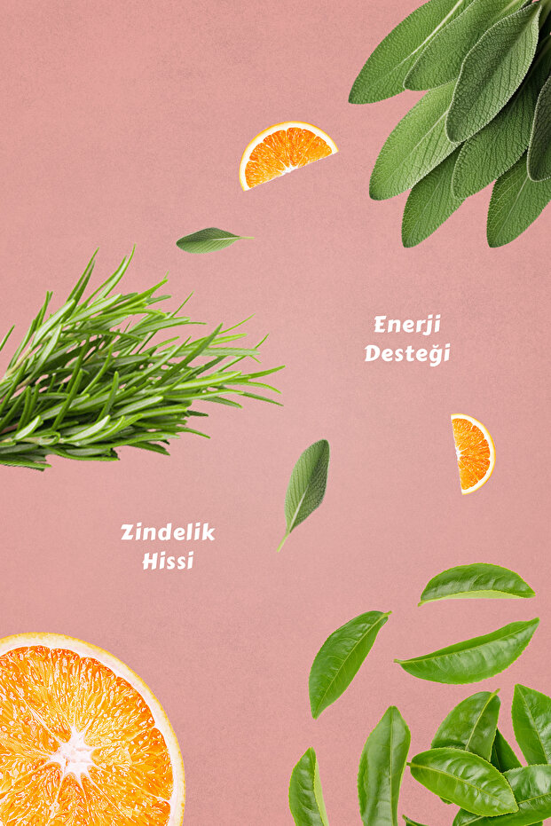 Hareketlen Bitki Çayı - 3