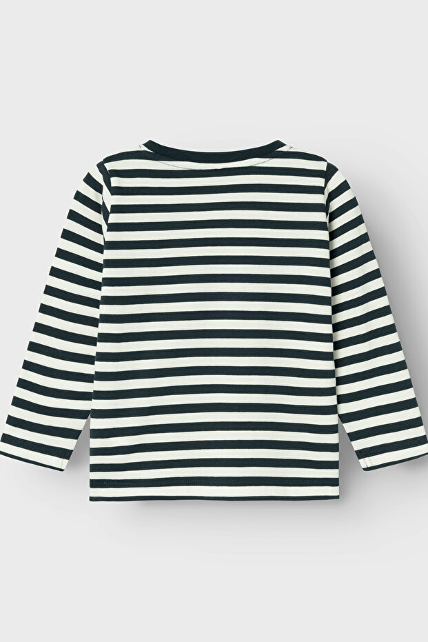 NMMSALMO NREG LS TOP NOOS - 2