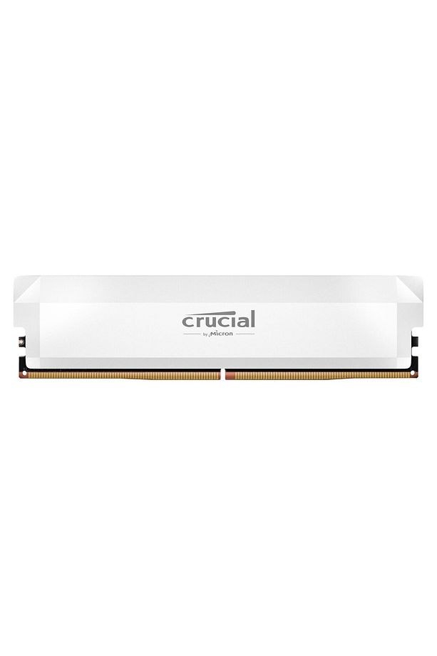 Pro 16GB (OC) 6400MHz DDR5 CP16G64C38U5W - 1