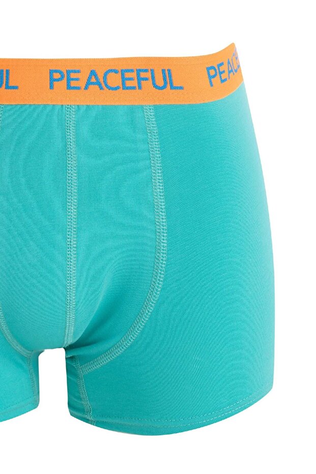 Regular Fit 3'lü Boxer B7774ax24au - 8