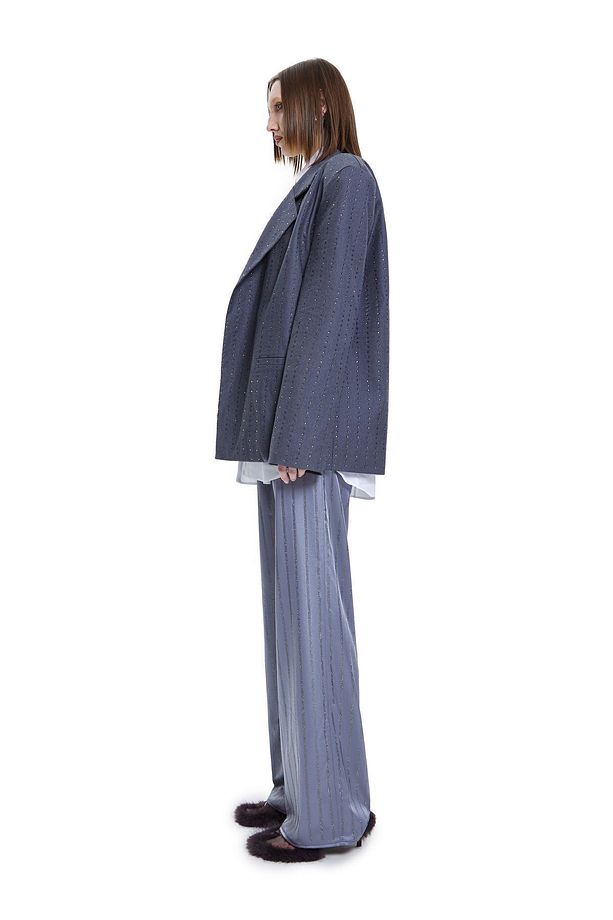 Luminescent Crystal Pant In Gray Kadın Gri Taş Şerit Detaylı Parlak Düz Kesim Pantolon - 3