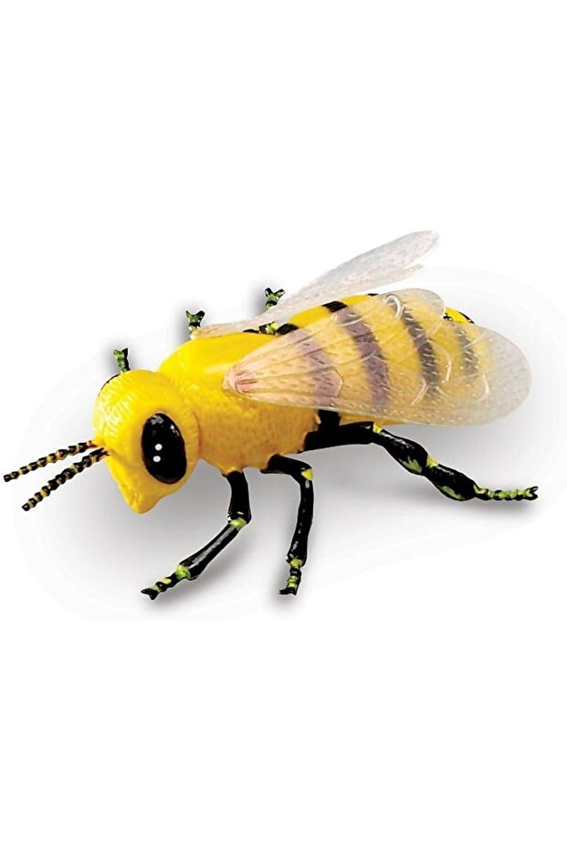 Jumbo Insects-LER0789 - 7