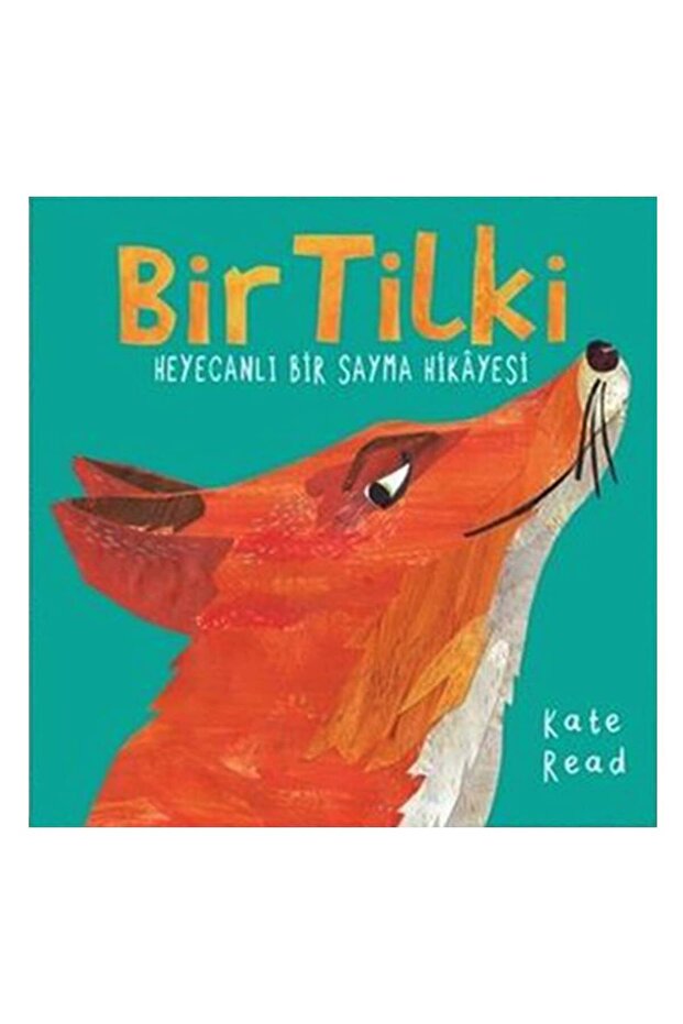 Bir Tilki - 1