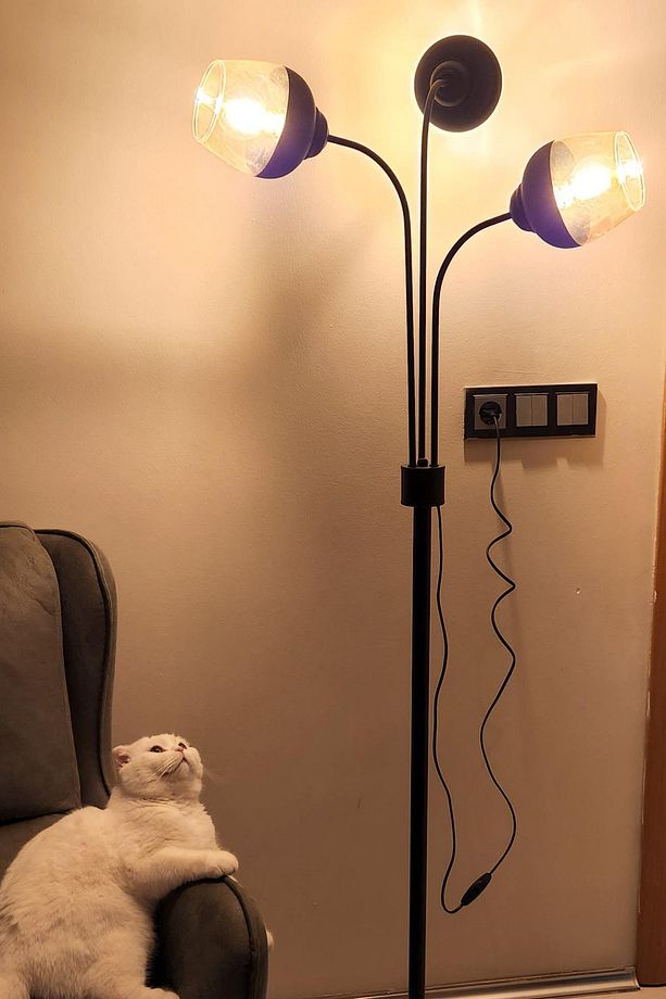 Zambak 3 Lü Siyah Tasarım Metal Ayaklı Lambader Nives Cam Oturma Odası-Salon Lambader - 2