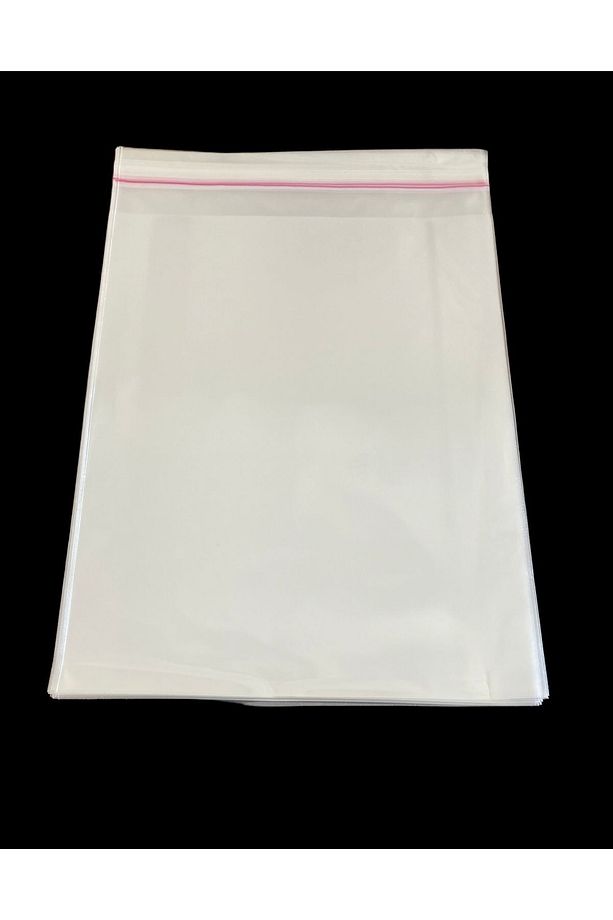 100 Adet 20x25*5 Cm Bantlı Opp Jelatin Poşet, Şeffaf Poşet (20X30) - 4