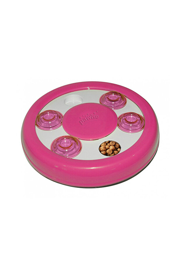 Pawise Cat Puzzle Toy