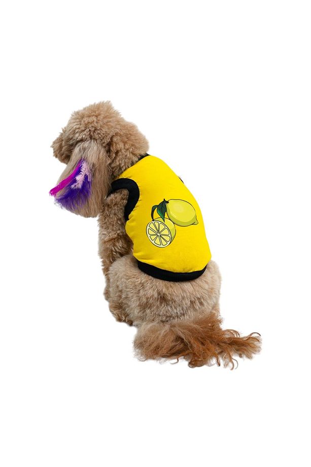 Kedi & Köpek Kıyafeti Elbiseleri Atlet - Limon Baskılı Sarı Atlet - 1