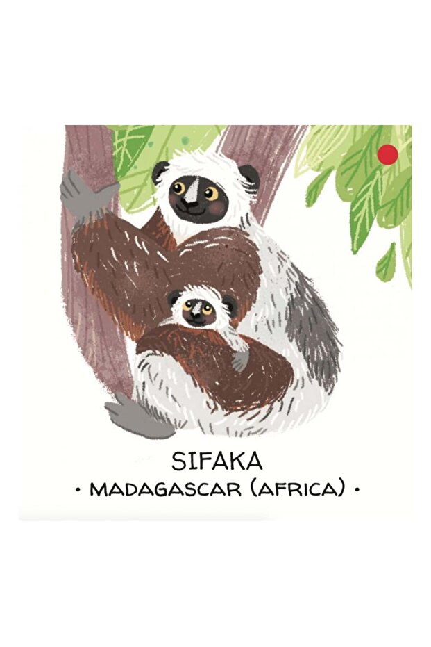 Animals To Save - Tropical Forests - 5