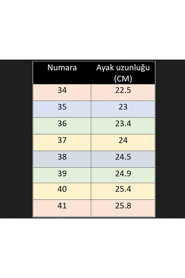 DANS AYAKKABISI - 2