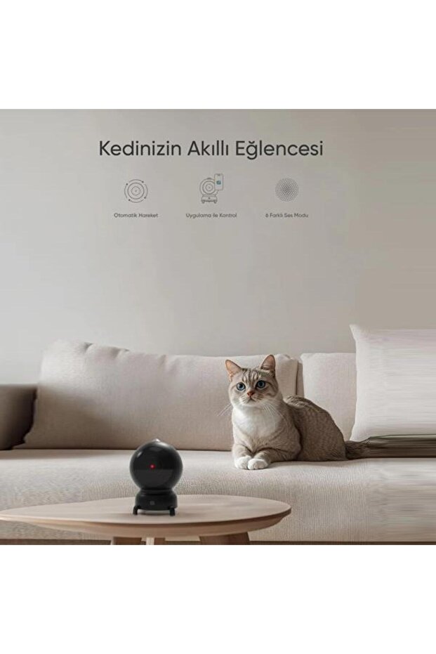Akıllı Lazer Kedi Oyuncağı - 4