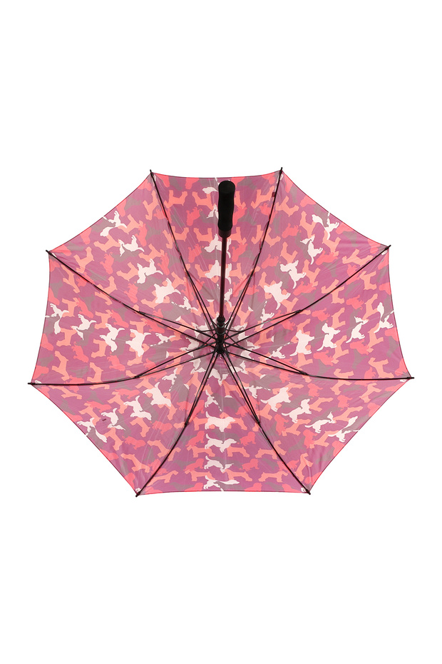 مظلة الكلاب - 4