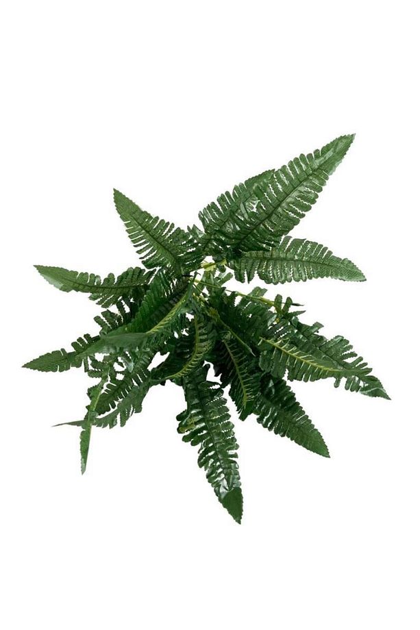 Yapay Çiçek Cycas Aşk Merdiveni Eğrelti Otu Sıkas Bitkisi 7 Dal 21 Yaprak 40*30cm Yapay Bitki - 4