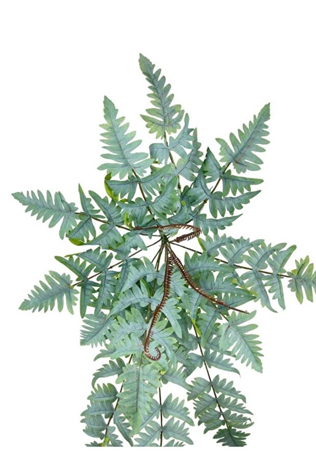 Yapay Çiçek Pastel Cycas Aşk Merdiveni 80cm Eğrelti Otu Sıkas Bitkisi 12 Yaprak 40*80cm Yapay Bitki - 7